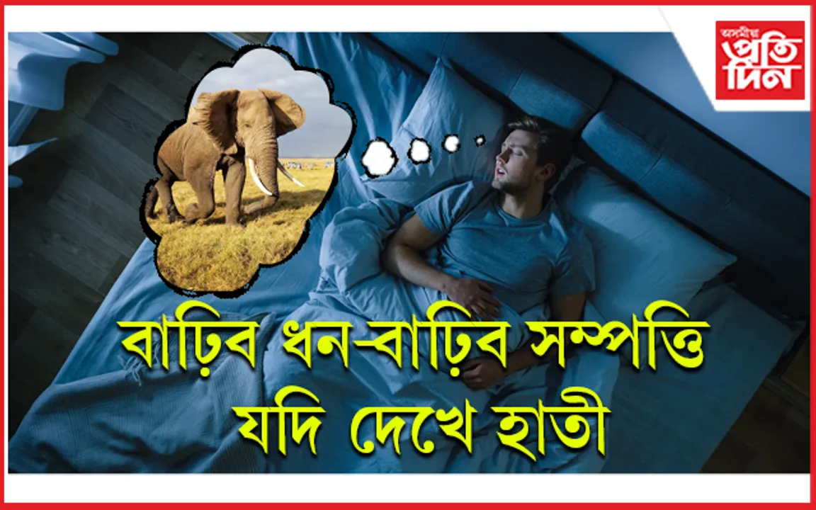 সপোনত হাতী, জীৱনলৈ আহিব সুখ-শান্তি